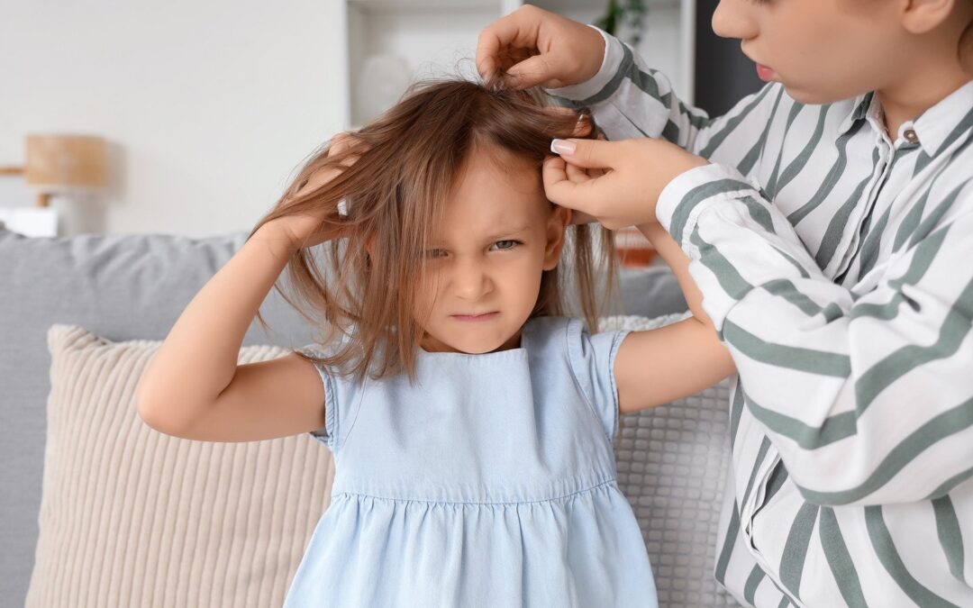 Ile żyją wszy? Poznaj przebieg cyklu rozwojowego wszy głowowej