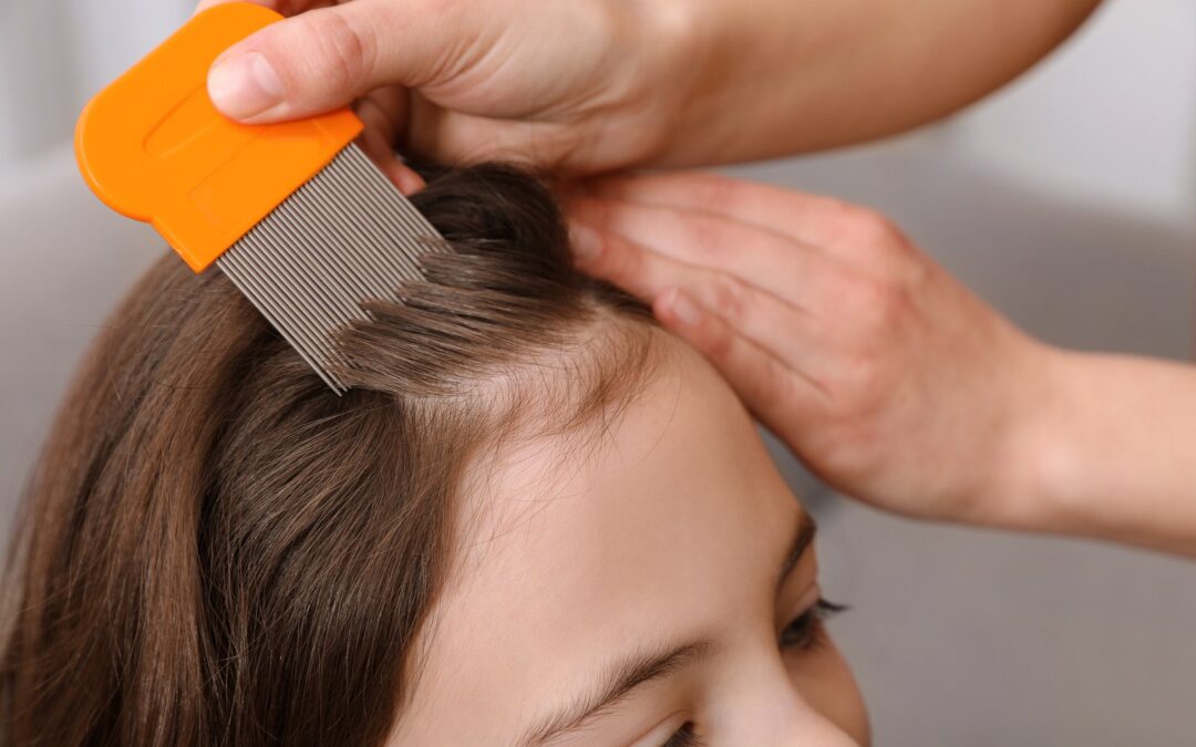 Powracająca wszawica w przedszkolu – jakie mogą być tego przyczyny?