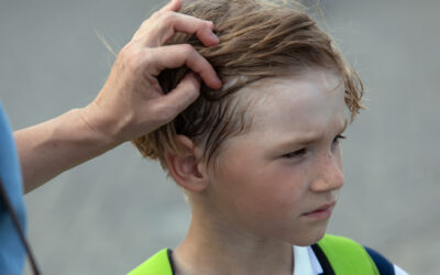 Jak przenoszą się wszy? Poznaj najczęstsze drogi zarażenia wszawicą